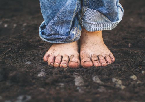 کرم قلابدار